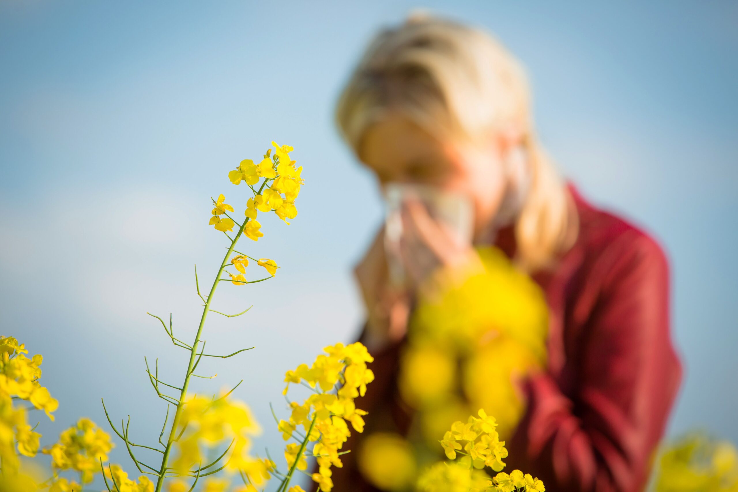 Essen Sie sich zu einem starken Immunsystem: 7 Power-Lebensmittel