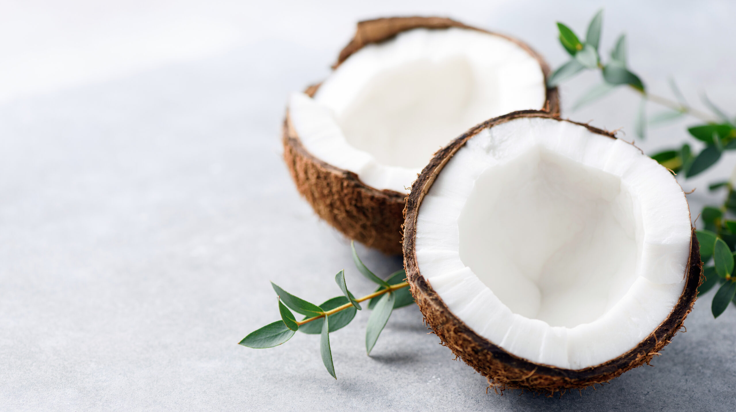 Produkte aus Kokosnuss: Vegan, gesund und einfach köstlich!