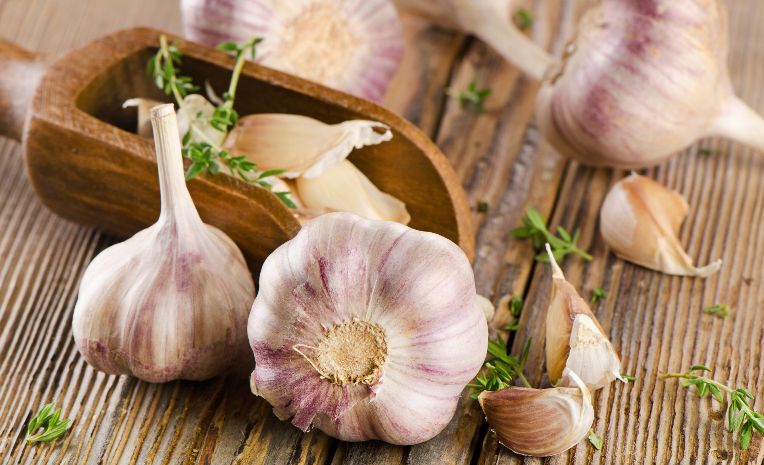 Knoblauch: Ihre Geheimwaffe für ein längeres Leben