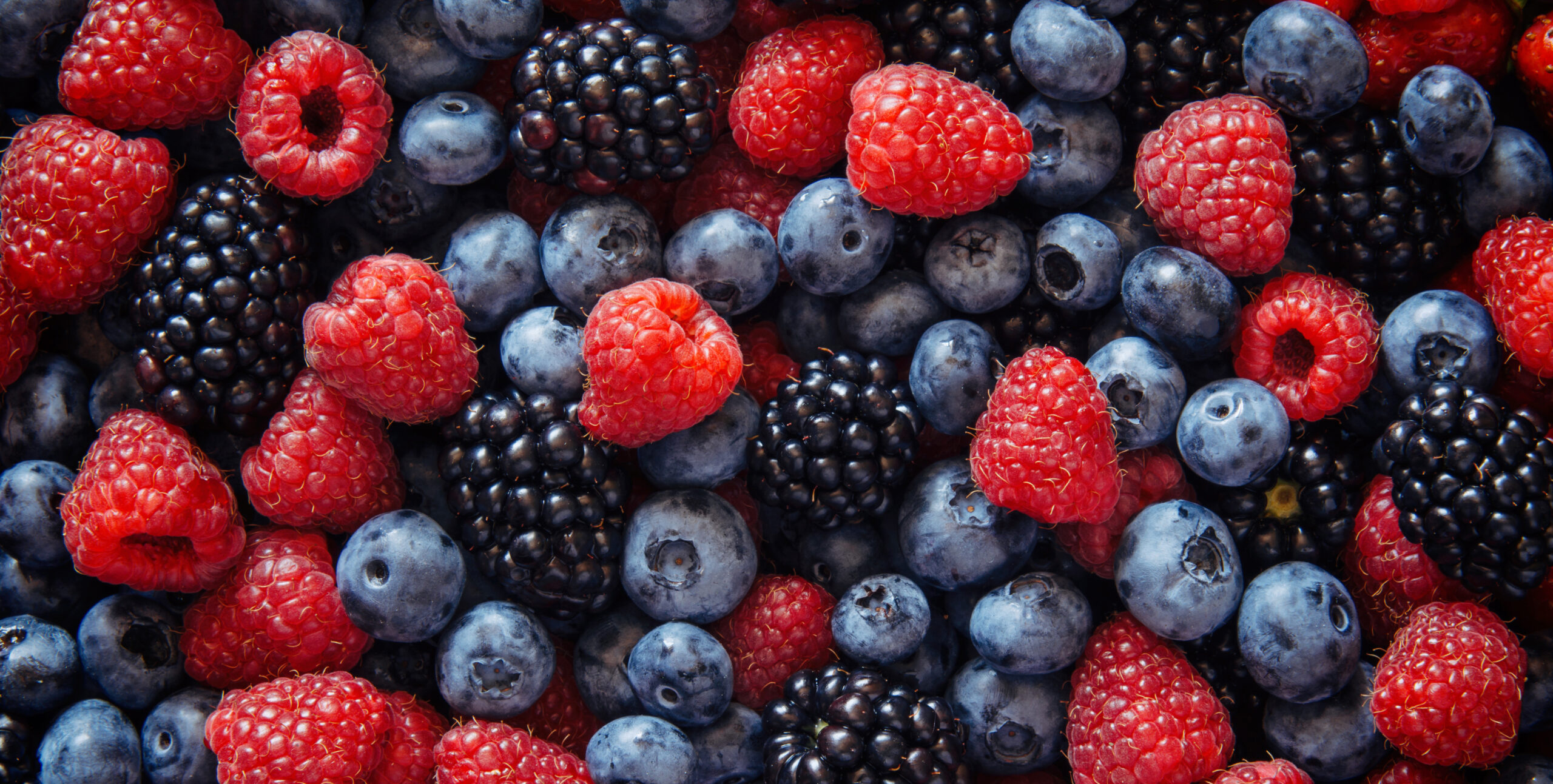 Blaubeeren und Erdbeeren – beerenstark für Ihr Gehirn