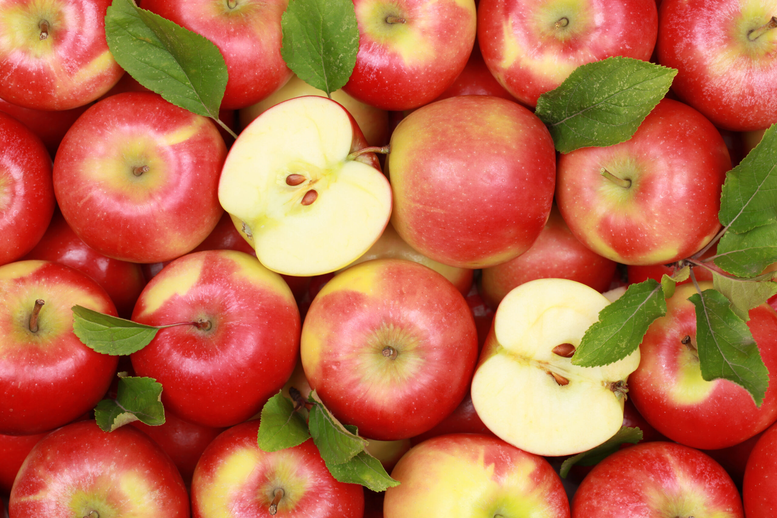 Mit pflanzlicher Ernährung gegen Arteriosklerose